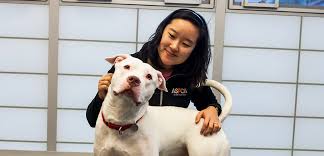 Sometimes that means providing information on general pet care that might not be known by a family. Behavioral Help For Your Pet Aspca