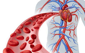 Hämorrhoiden sind ein oft mit scham behaftetes leiden. Innen Loschen Degyare Bader Von Hamorrhoiden Es Wird Zum Kochen Dauern