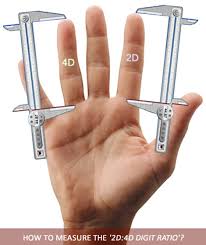 Digit Ratio News Finger Length The 2d 4d Digit Ratio 63