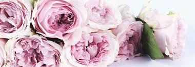 Maybe you would like to learn more about one of these? Flower Shops In Nashville Tn In 2020 Carl Black Chevrolet Nashville