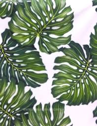 Fleece Fabric Monstera Tropical Leaf Plant Sketches Hawaiian Fabric Simple Cards Handmade