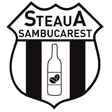 Maybe you would like to learn more about one of these? Steaua Sambucarest Home Facebook
