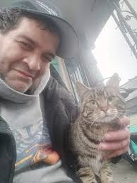 Missing Cat Prince in Fargo/Moorhead Area