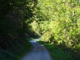Toter fußgänger auf fahrbahn gefunden: Der Wasserweg Bergischer Streifzug Nr 2 Das Fliegende Klassenzimmer