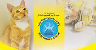 Klinik pergigian in kuala terengganu. Dr Nor Veterinary Clinic Home Facebook