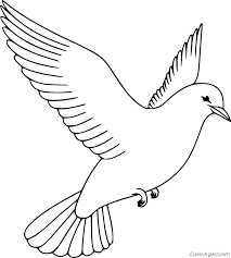 They have blue plumage or blue and orangered plumage. Easy Flying Bluebird Coloring Page Coloringall