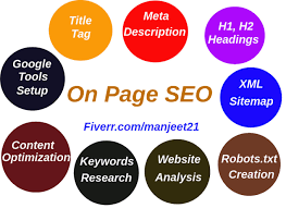 I Will Professionally Perform On Page Seo Optimization In 2020 Seo Optimization Optimization On Page Seo