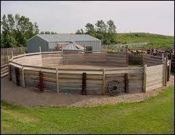 Pin On Barn Pen Dreams