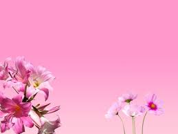 We did not find results for: 80 000 Best Pink Flowers Images 100 Royalty Free Photo Downloads Pexels Free Stock Photos
