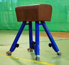 The pommel horse is usually called a koń or more unambiguously a koń gimnastyczny. Koziol Gimnastyczny Sztuczna Skora Sklep Sk Sport Pl