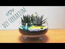 Diy Terrarium With Money Plant And Two Types Of Zebra Haworthia Youtube Terrarium Terrarium Diy Money Plant