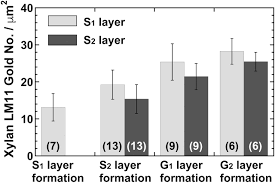 Maybe you would like to learn more about one of these? Xylan Deposition And Lignification In Differentiating Tension Wood Fibers In Mallotus Japonicus Euphorbiaceae With Multi Layered Structure