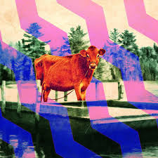 (the rough, painterly cinematography is by christopher blauvelt). First Cow Is In Fact About A Cow It S Also A Directorial Flex The Ringer