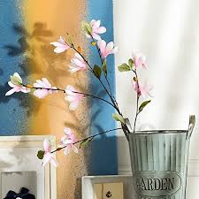 We did not find results for: Artificial Magnolia Flowers Retro Home Decoration Bouquet Pinke One Buy Online In Andorra At Andorra Desertcart Com Productid 49557062