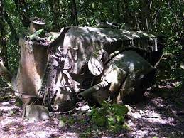 Peleliu's vegetation was stripped away during the battle, revealing a blinding landscape of jagged . Peleliu 1944 Social Archaeologies Of World War Ii In Palau Micronesia School Of Geosciences The University Of Aberdeen