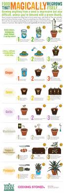 They are sturdy, easy to grow, require little maintenance and most of all: Easy Gardening Grow Vegetable Plants From Kitchen Scraps Hubpages