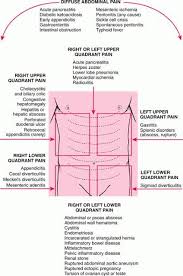 Pin On Fnp Review