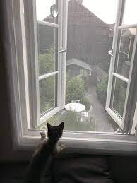 pin on life with pets