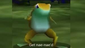 Get Nae Nae D Cute Frogs Memes Frog