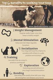Get reviews, hours, directions, coupons and more for pet care center. Pin By The Drake Center For Veterinar On Our Blogs Your Dog Veterinary Care Benefits Of Walking