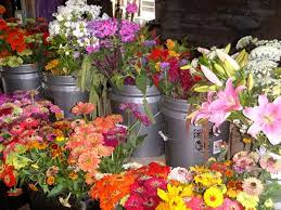 .marketing opportunities available to flower growers: Farmers Market Flowers Full Sun Farm