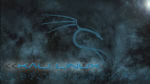 43 Kali Linux Wallpaper 1920x1080 On Wallpapersafari Looking for the best kali linux wallpaper hd?