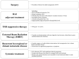 Younger people have a low likelihood of dying from differentiated (papillary or follicular) thyroid cancer. Frontiers Updates On The Management Of Advanced Metastatic And Radioiodine Refractory Differentiated Thyroid Cancer Endocrinology