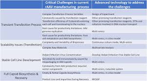 Image result for Blue 1999 AAV