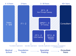 What Happens After Medical School In The Uk | Medmentor