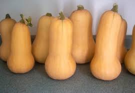 See full list on wikihow.com How To Harvest Cure And Store Butternut Squash Kevin Lee Jacobs