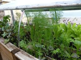 Hochbeet Selber Bauen Und Dach Druber Das Minigewachshaus Muhvie De Garten Balkon Genuss In 2020 Hochbeet Hochbeet Selber Bauen Gemusegarten Anlegen