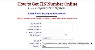 How to replace lost tin id. How To Get Tin Number Online Bir Eregistration System Useful Wall