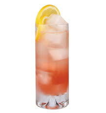 Top with the club soda. Sloe Gin Fizz Cocktail
