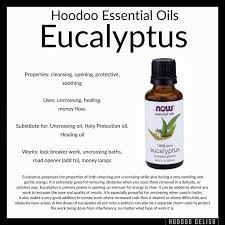Image Result For Hoodoo Delish Herbs T Hoodoo Spells Hoodoo Conjure Hoodoo Spells Voodoo Hoodoo