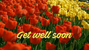 So, if you live in new zealand (nz) or any of your friends live there, you can order and send online gifts to new zealand to show them how much you miss their presence in your life. Get Well Soon Gifs 30 Animated Pics And Cards For Free