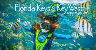 Key Largo Florida Vacation Planning In 2020 With Images Florida Keys Key West Vacations Travel Key West
