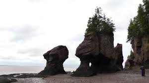 Hopewell Rocks Picture Of Hopewell Rocks Hopewell Cape