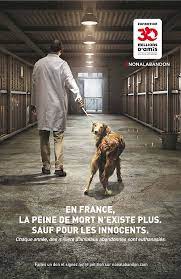 « lui ne vous abandonnera jamais. La Fondation 30 Millions D Amis Lance Une Mobilisation Nationale Contre L Euthanasie D Animaux Abandonnes Fondation 30 Millions D Amis