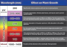 Led Grow Light Wavelength Chart Led Grow Lights Grow