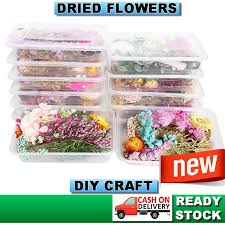 We deliver garden fresh flowers to the philippines. Pressed Flower Prices And Online Deals May 2021 Shopee Philippines