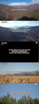 올해 해수욕장에서는 밤에 술 안돼요! 8w8h5uzml Mepm