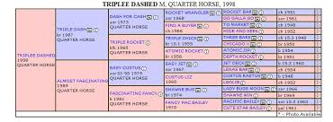 Triplee Dashed Quarter Horse Mare Pedigree Chart By Air