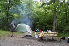 Shenandoah national park is a place where you will find cascading waterfalls (some over 90 feet a camp store is also found at loft mountain campground, so you can easily stock up before returning to dundo. Dear At The Campsite Picture Of Mathews Arm Campground Shenandoah National Park Tripadvisor