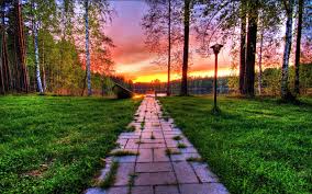 About the pictures you like further we'd love you to join your comments to the subject. Wonderful Wallpapers Top Free Wonderful Backgrounds Wallpaperaccess