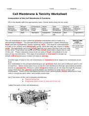 (also on yahoo answers vacoules because they exporting unwanted substances from the cell. Cell Membrane Tonicity Worksheet Answers 1 1 Docx Name Date Period Cell Membrane Tonicity Worksheet Composition Of The Cell Membrane Functions Course Hero