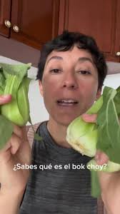 Mexican Chef Lady Bok Choy Recipe