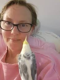 I don't know if this baby a crow or raven 😅