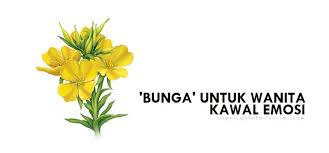 Evening primrose oil contains essential fatty acids which are important for hair growth and maintaining a healthy scalp. Atiehilmi Com Malaysian Lifestyle Blogger Kebaikan Minyak Evening Primrose Epo Untuk Kesihatan Wanita