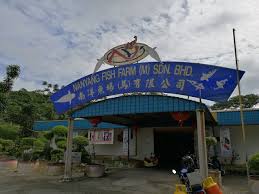 In china while on business i went to the china aquarium fish market. Xian Long Aquarium Shah Alam Address Umpama 4