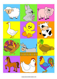 Zviratka Colori Scuola Materna Animali Fattoria Scuola Materna